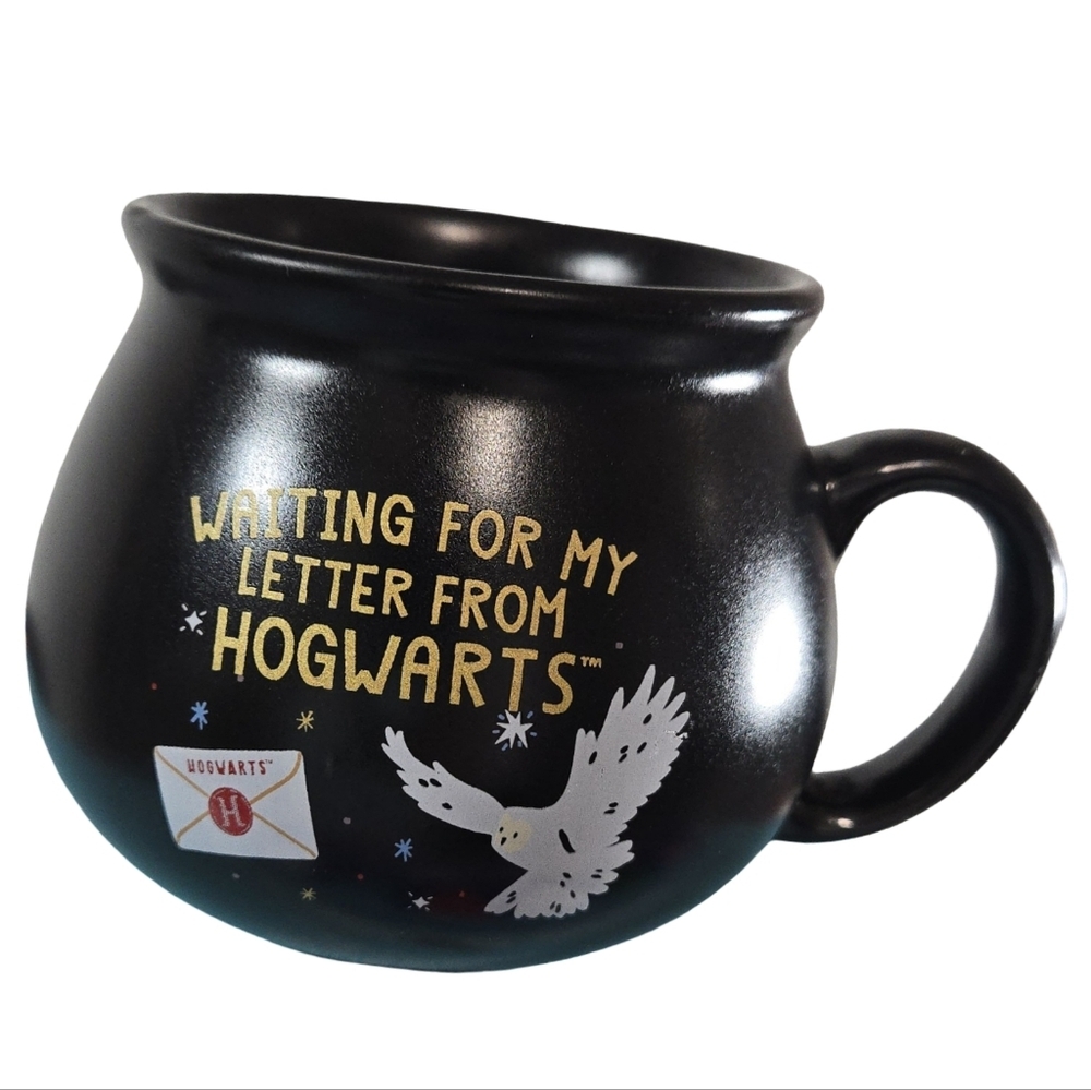 Hogwarts Warner Bros. Black and Gold Hogwarts Cauldron Mug